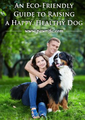 Black Friday Deals 2025 | Amazon.com